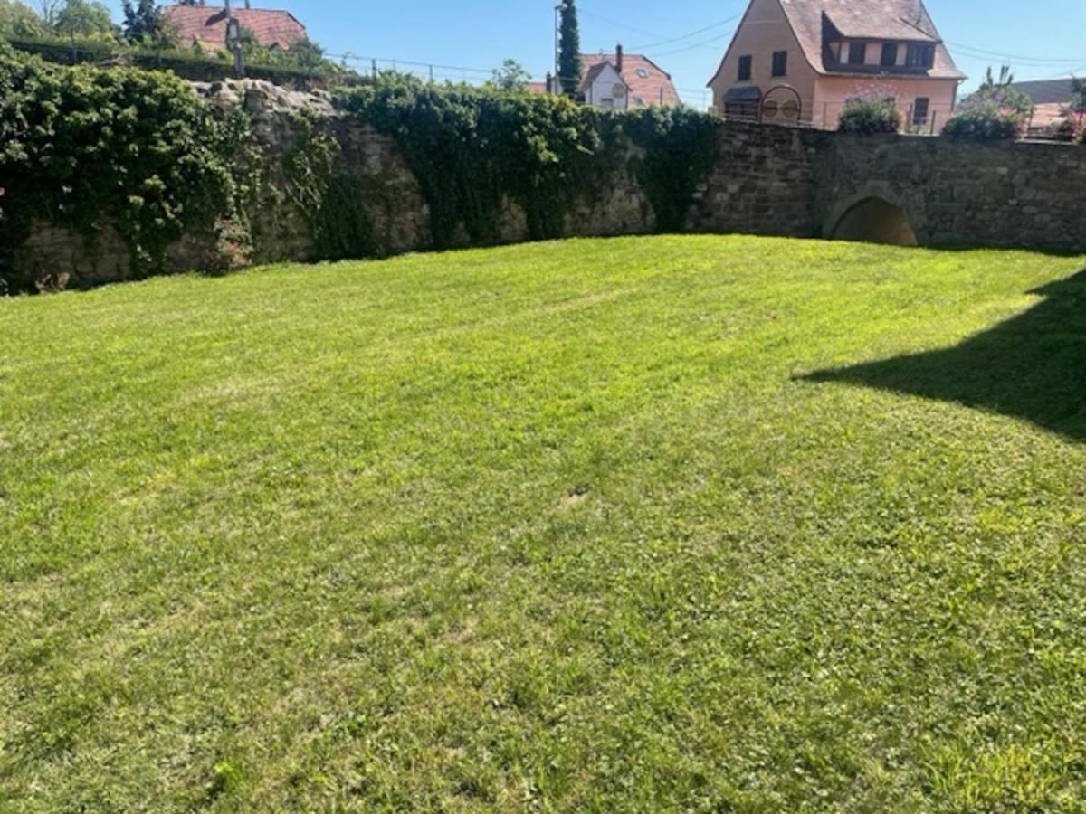Le Rustique - Le Charme Alsacien Du Vignoble Διαμέρισμα Turckheim Εξωτερικό φωτογραφία
